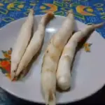 umbi garut ( youtube seribu manfaat)