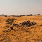 Bukit Pilar Angin Garut