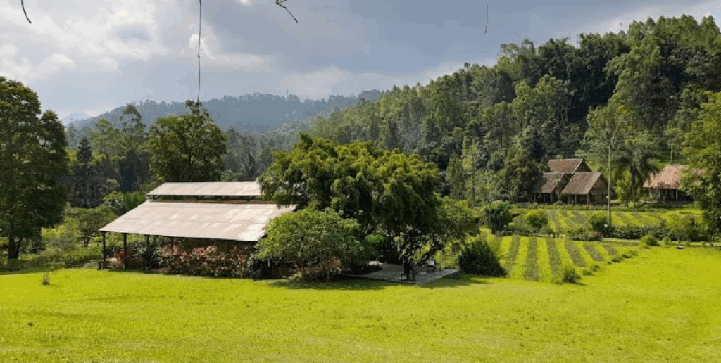 wisata garut kamojang