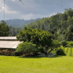 wisata garut kamojang