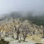 Hutan Mati Gunung Papandayan
