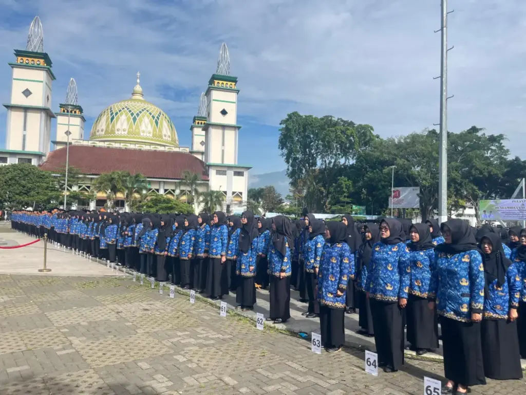 6.596 PPPK paruh waktu dilantik