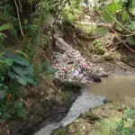 Sampah menumpuk di tebing selokan Cirangon, Sindangsari Desa Cipareuan berbatasan dengan Desa Cibiuk Kidul