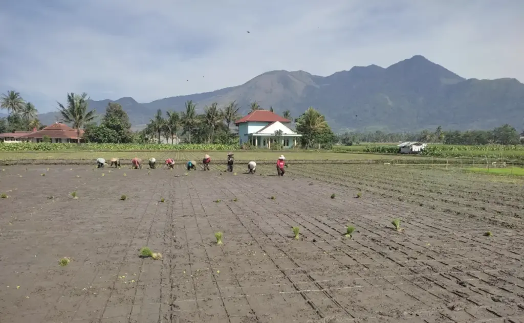 Lahan Pertanian Pangan Berkelanjutan “Haram” Dialihfungsikan, Pemerintah akan Perketat Pengawasan Dok Radar Garut