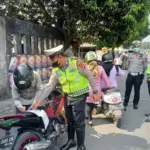 operasi zebra november 2025