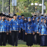 tunjangan pppk paruh waktu