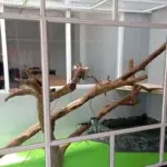 Pembuatan kandang ular Damkar