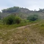 Kegiatan penambangan terhenti sementara