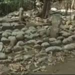 Komplek makam di Gunung Nagara