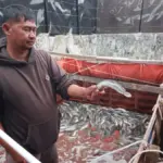 panen ikan lele BUMDes Bangkit Mekarsari
