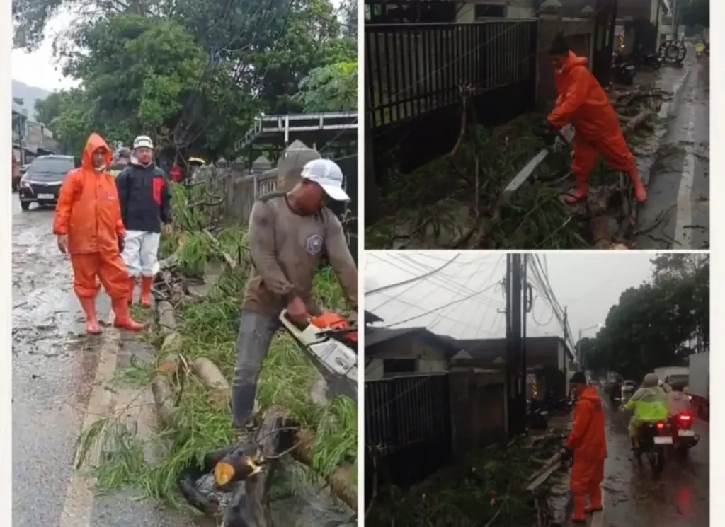 Pohon Tumbang di Warung Peuteuy. (istimewa)