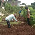 Program ketahanan pangan bumdes Bangkit Mekarsari dalam pertanian. (Feri/Radar Garut)