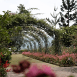 daerah yang cocok untuk liburan tahun baru