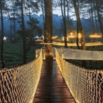 liburan tahun baru enaknya kemana