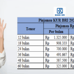pinjaman kur bri 2025