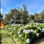 tempat hits di garut