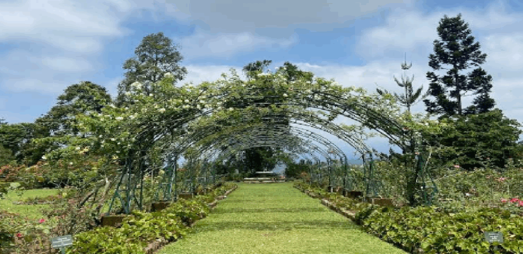 tempat wisata di garut yang lagi hits 2025