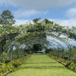 tempat wisata di garut yang lagi hits 2025