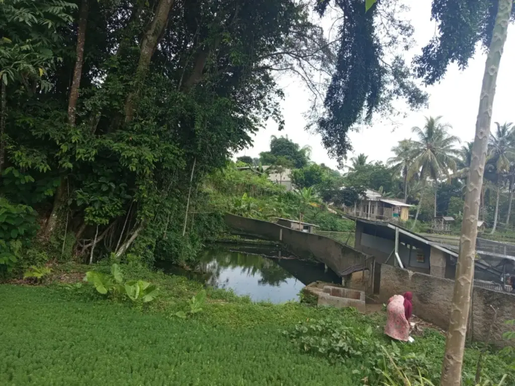 Mata air Situbatu di Desa Cipareuan, Cibiuk, andalan kebutuhan air warga. (Pepen Apendi/Radar Garut)