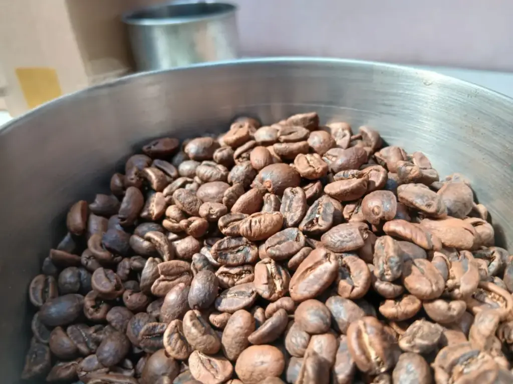 Kopi Paling Populer di Garut dengan Karakter Kuat, Jadi Favorit Barista dan Penikmat Kopi! Kopi Paling Populer di Garut dengan Karakter Kuat, Jadi Favorit Barista dan Penikmat Kopi!