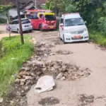Akses Jalan Kabupaten di wilayah Ciparay - Cihurip Kecamatan Cihuri, Kabupaten Garut, mengalami kerusakan para