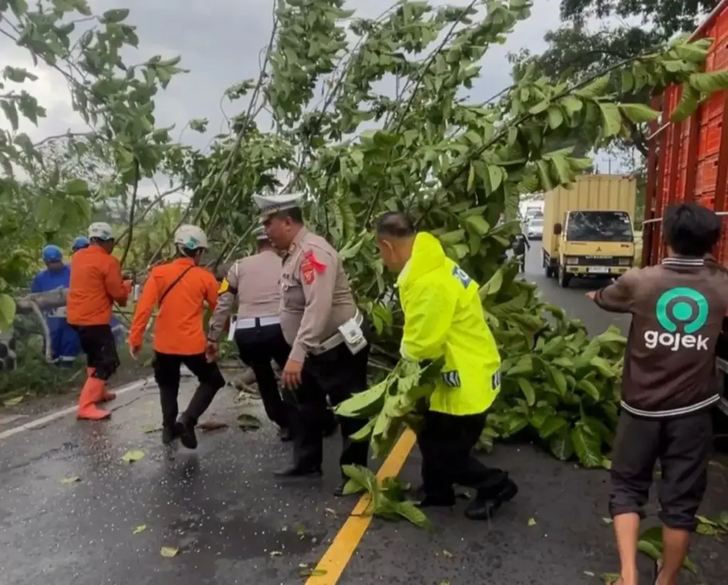 Pohon tumbang menutup sebagian badan Jalan Limbangan, jalur nasional penghubung Bandung-Tasikmalaya