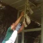 Warga Cibalong Dikejutkan Penemuan Pria Meninggal di Kawasan Leuweung Sancang Garut.(Ist)