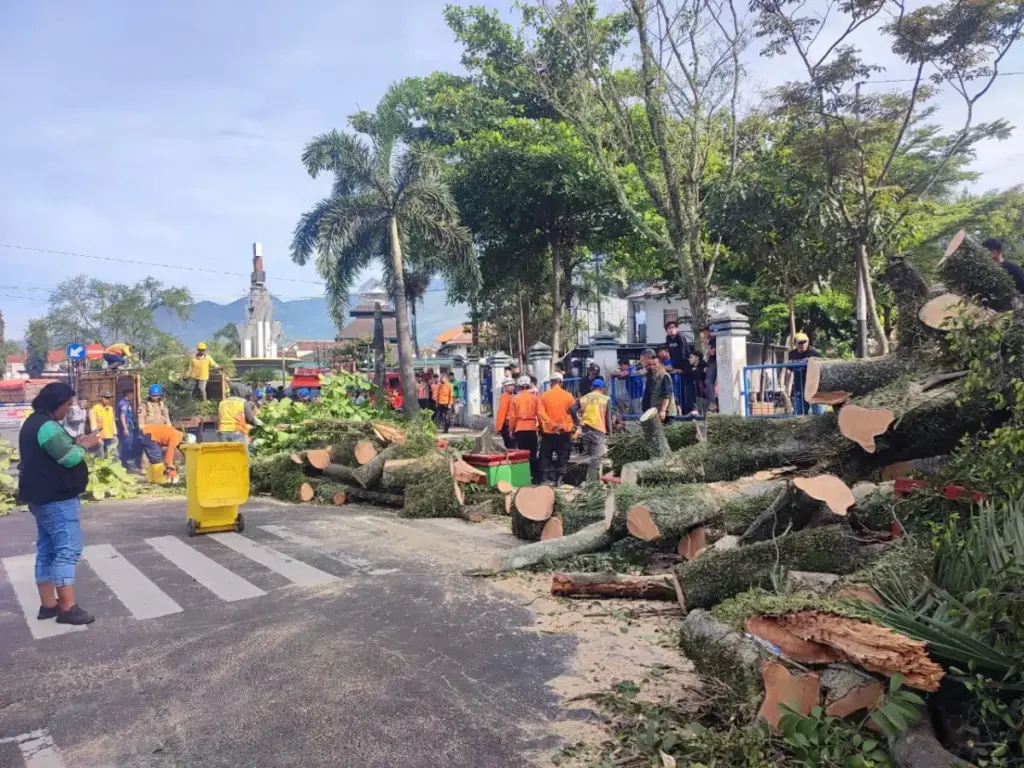 Ratusan Pohon Terancam Roboh, DLH Garut Akui Minim Peralatan Deteksi Ratusan Pohon Terancam Roboh, DLH Garut Akui Minim Peralatan Deteksi