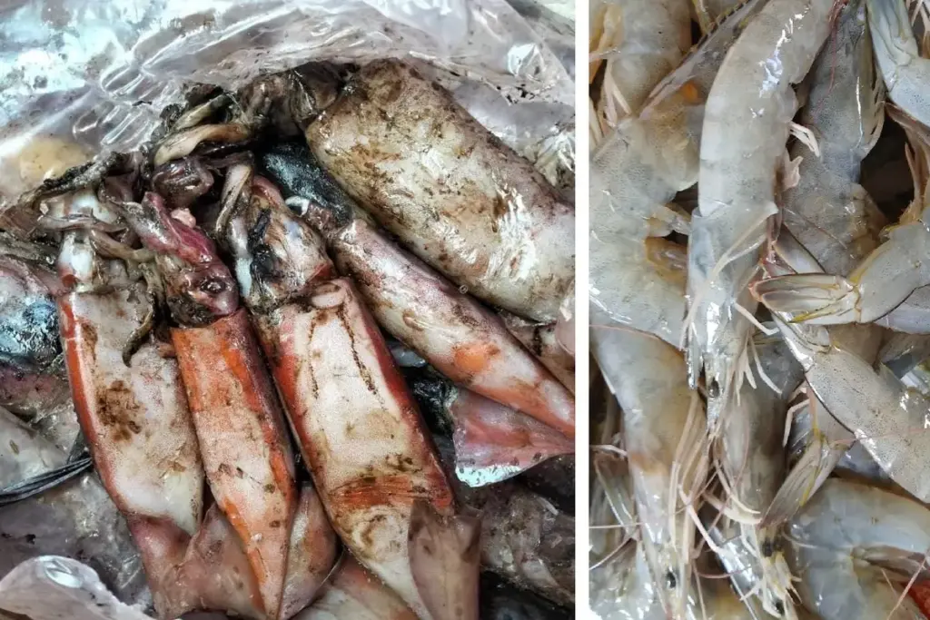 Cumi dan Udang Dinilai Cocok untuk Menu MBG, HNSI Luruskan Pernyataan Diskanak Garut