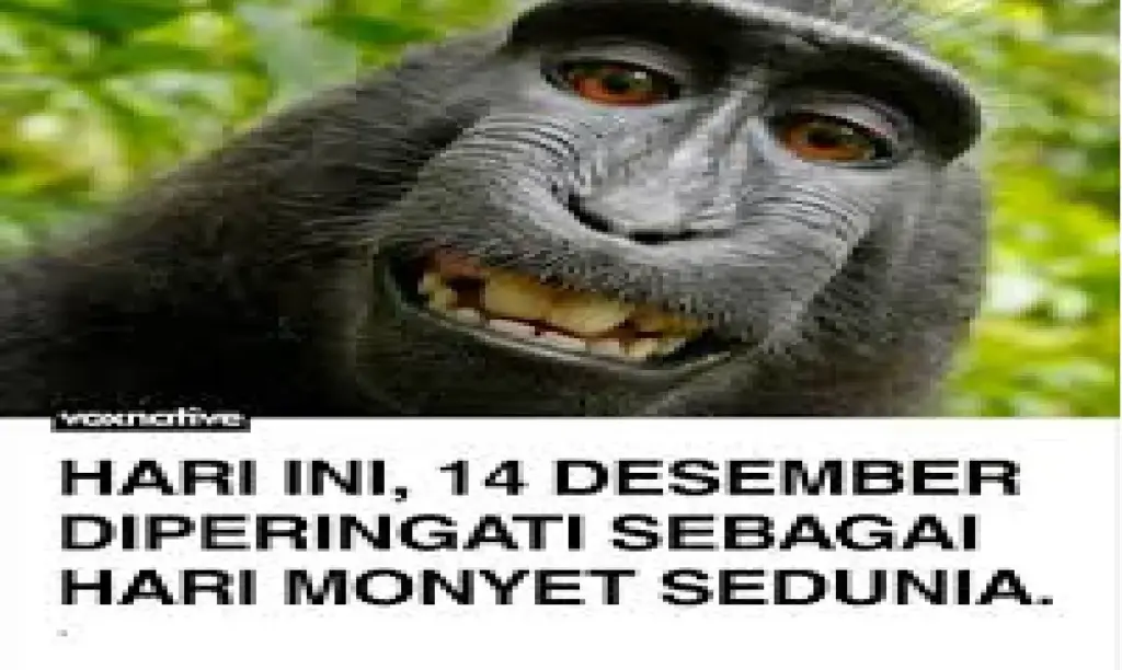 Trending di Sosial Media! Serunya Perayaan Hari Monyet Sedunia Kemarin: 14 Desember hari monyet sedunia
