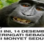 hari monyet sedunia