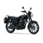 kawasaki w175 street