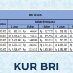 kur bri