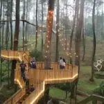 liburan tahun baru enaknya kemana