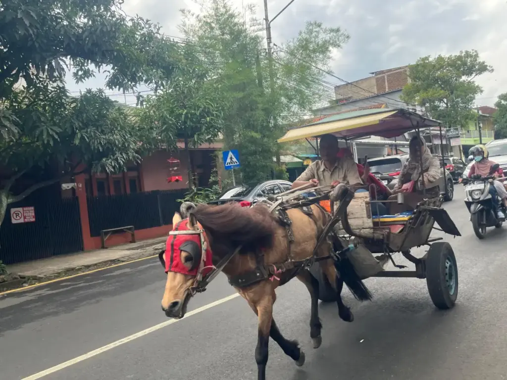 Kusir delman di sekitar Alun-alun Tarogong Garut (Rizka/Radar Garut)