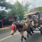 Kusir delman di sekitar Alun-alun Tarogong Garut (Rizka/Radar Garut)
