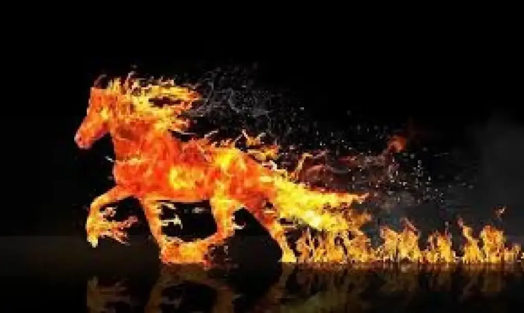 Shio Apa Saja yang beruntung di Tahun 2026? Ini Dia Daftar lengkapnya shio yang beruntung di tahun 2026