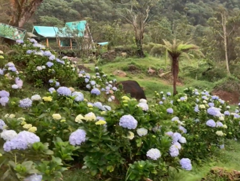 Rayakan Tahun Baru di Garut dengan Pilihan Wisata Paling Hits dan Menenangkan wisata untuk tahun baru di garut