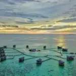 Tak Perlu ke Maldives, Ini 5 Villa Terapung Mewah yang Bisa Kamu Temukan di Indonesia. (Ist)