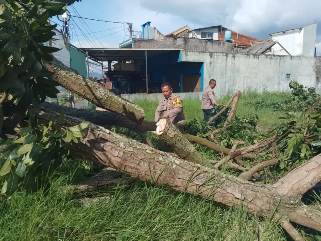 Pohon Tumbang Tutup Akses ke Pesantren Jawiyah, Polsek Samarang Berhasil Evakuasi istimewa