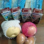 MBG di Garut Beralih ke Makanan Kering, Sekda Tegaskan Pemda Tak Punya Kewenangan