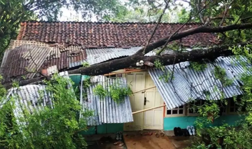 Pohon Tumbang Akibat Hujan Deras dan Angin Kencang, Tiga Rumah di Banyuresmi Garut Rusak.(Istimewa)
