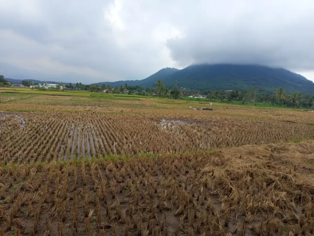 (Pepen Apendi/Radar Garut)