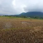 (Pepen Apendi/Radar Garut)