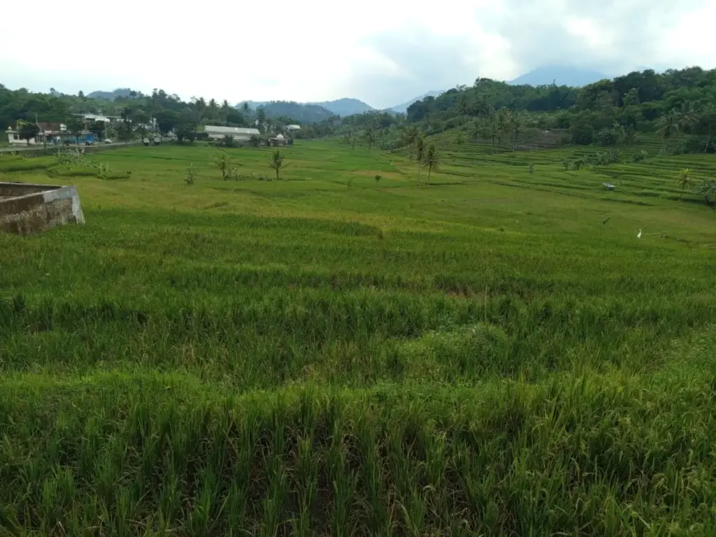 (Pepen Apendi/Radar Garut)
