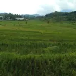 (Pepen Apendi/Radar Garut)