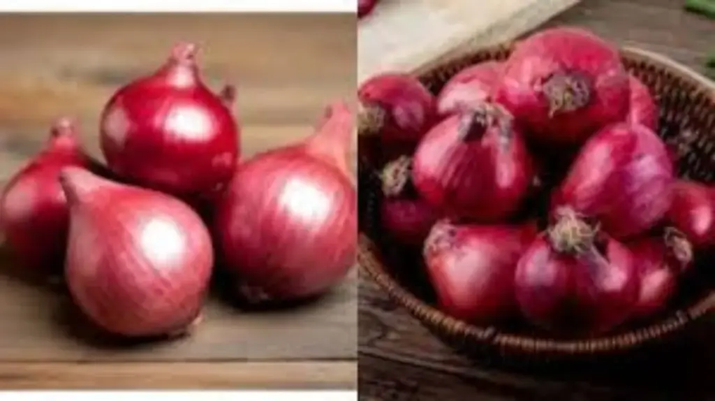 Catat! 4 Manfaat Penting Bawang Merah, Nomor 3 Jarang Diketahui (Freepik/radargarut.id)