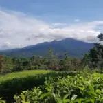 (Istimewa/radargarut.id)