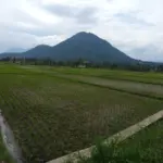 Pepen Apendi / Radar Garut