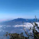 (Istimewa)